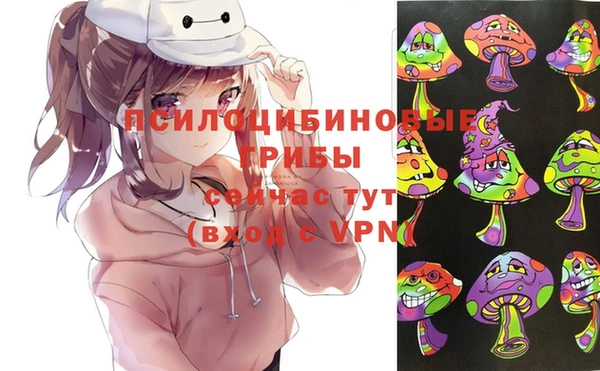 прущая мука Надым