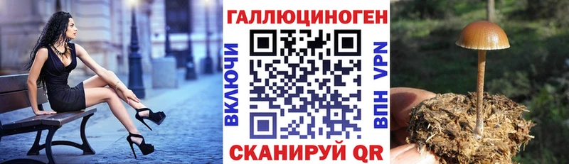 гидра рабочий сайт Кумертау сайты даркнета формула Псилоцибиновые грибы Psilocybine cubensis