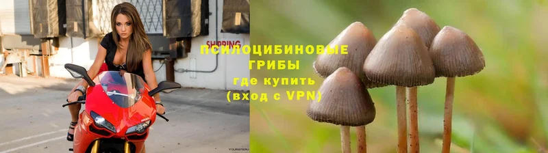 гидра ссылки  Кумертау  Псилоцибиновые грибы Magic Shrooms 