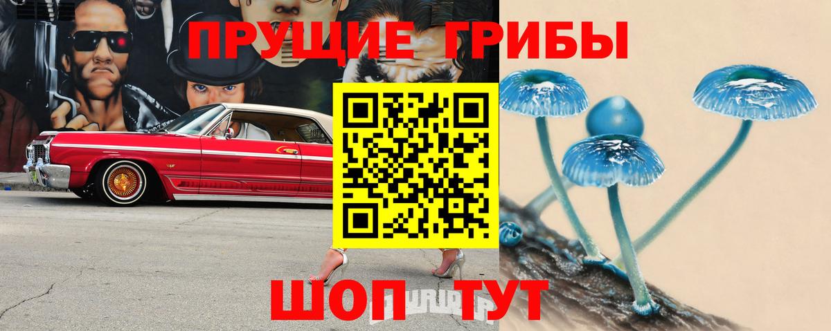 Псилоцибиновые грибы MAGIC MUSHROOMS  Псилоцибиновые грибы Psilocybe  Кумертау  Вход с VPN 