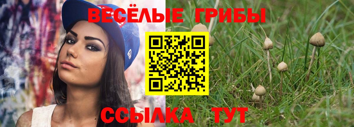 Галлюциногенные грибы MAGIC MUSHROOMS  как найти закладки  Галлюциногенные грибы мухоморы  Кумертау 
